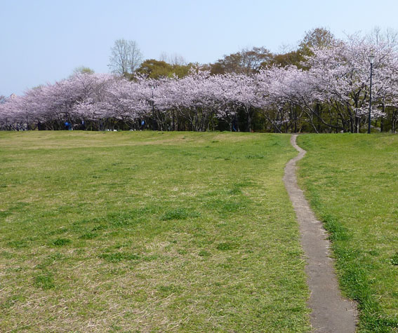 H2404133