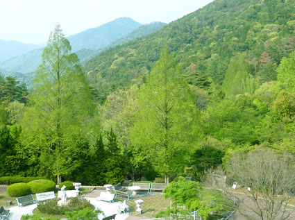 H2505246